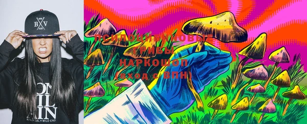 дурь Алексеевка