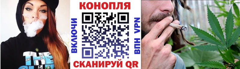 Бошки Шишки MAZAR  Орёл 